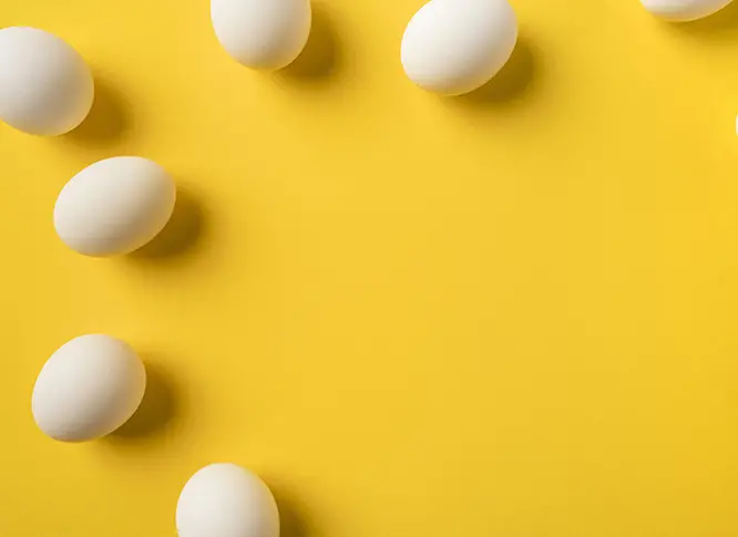 Яйца с белой скорлупой и с коричневой одинаково полезны  - ТМ «Це – Яйце!»